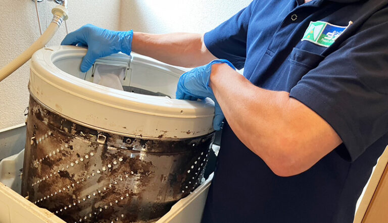 洗濯槽クリーニング